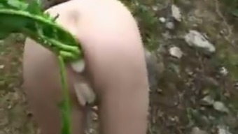 Vegetable Insertion In Gape Ass Hole (Camaster)