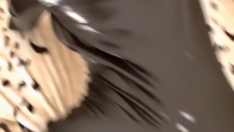 Er Fickt Seine Geile Blonde Wetlook Freundin