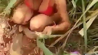Desi Village Bhabi Outdoo Sex