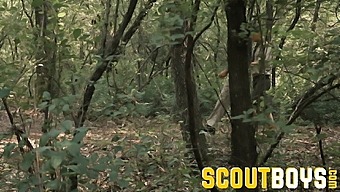 Twink Scout Raw Bred Outdoor By Daddy