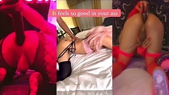 Sissy Anal