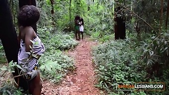 Wild African Lesbian Amateur Pussy Worshiping Secret Ho