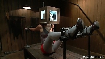 Redhead Bdsm Orgy With Anal Slut